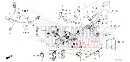 KABELBAUM (CRF250LR/LRA,CRF300LR/LRA) CRF300LRAM de 2021